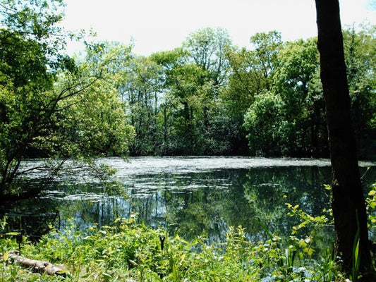 Exploring Bosnia's Hidden Fly Fishing Paradises