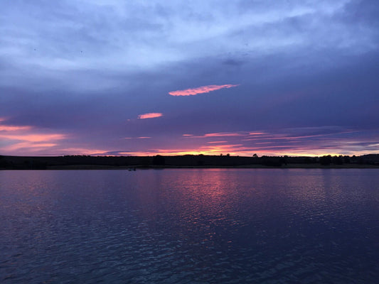 Angling Adventures in Sweden's Wild Waters