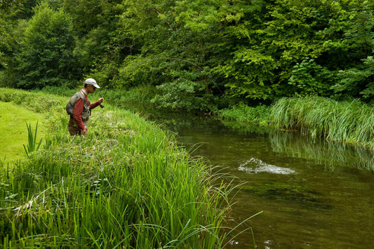 Angling Through Hemingway's Lens