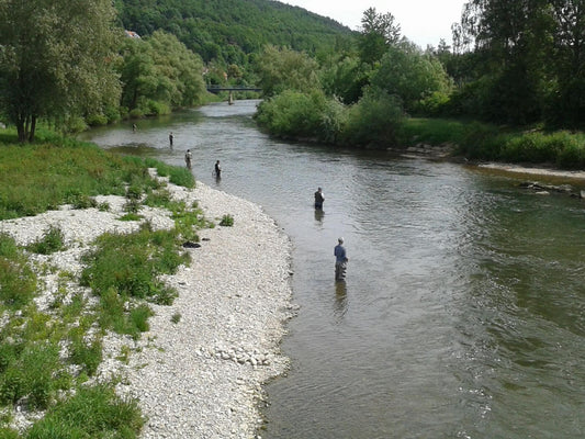 Ebert's School of Fly Fishing Mastery
