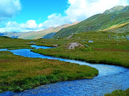 Swiss Waters: The Art of Fly Fishing