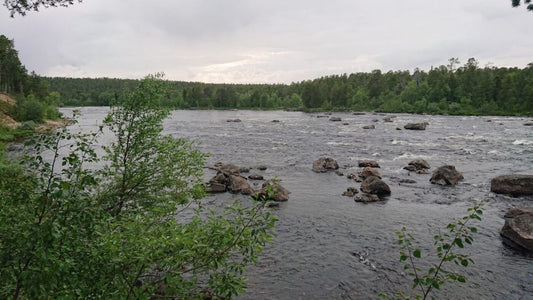 Galddoaivi Wilderness Expeditions
