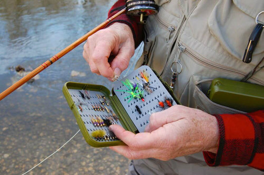 Flies: An Essential Guide to the Best Types for Beginners and Hand-Tied Options