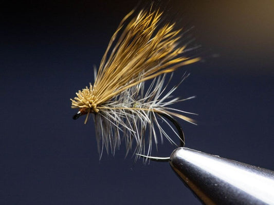 Flies: A Guide to the Best Types and Hand-Tied Options for Beginners