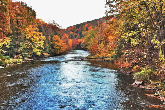 Wilderness Experts of Maine
