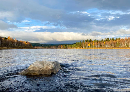 Angling Adventures in Finland's Wild Waters