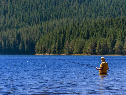 Fly Fishing on Lakes: A Guide to Lake Fishing