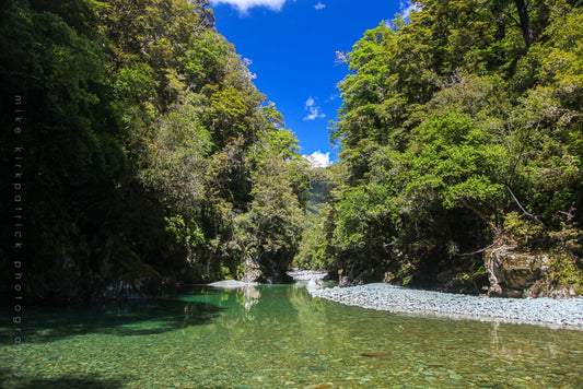 Reeling in Queenstown's Waters