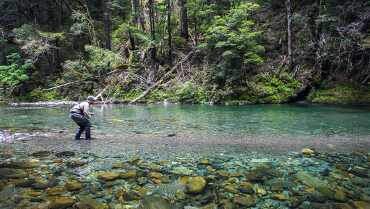 Angling Adventures in New Zealand's Wild Rivers