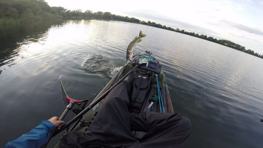 Timeless Elegance: The Art of LTS Fly Fishing