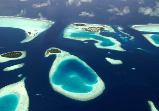 Fly Fishing Maldives (The Ultimate Guide)