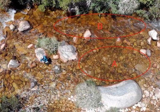 How to Fish a Run (Euro Nymphing Techniques)