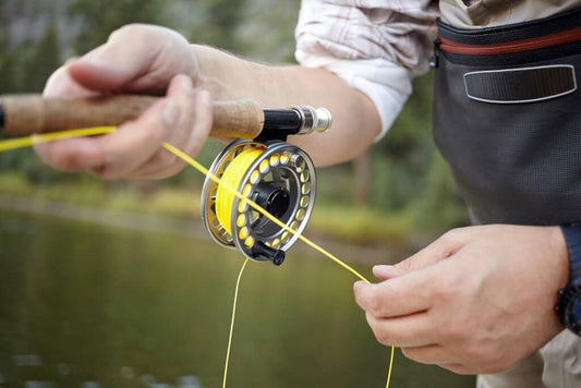 Fly Line: A Guide to Buying and Using Intermediate Fly Line