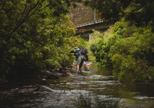 How to Fish Overhanging Structure (Euro Nymphing 101)
