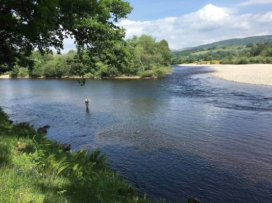 Danish Waters: The Art of Fly Fishing 🇩🇰