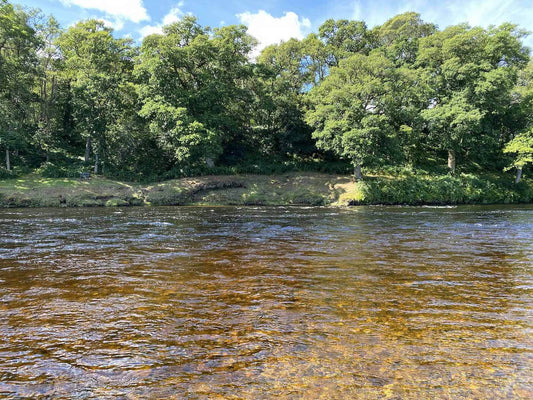 Georgia's Hidden Trout Havens