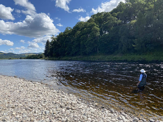 Germany's Serene Waters: A Fly Fishing Escape