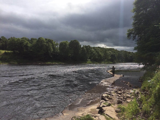 Expert Fly Fishing Adventures in Park City