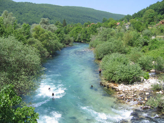 Thierry Millot: Redefining Perspectives