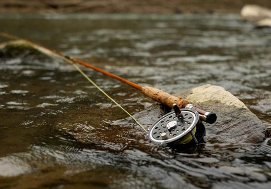 Fly Rod and Reel: The Ultimate Guide to Beginner Fly Fishing Combos