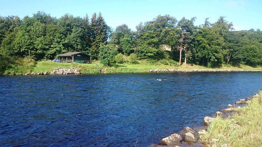 Angling Adventures on the Tyne