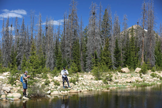Life in the Uinta