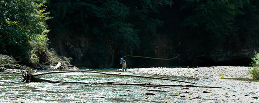 Fly Fishing Against the Current