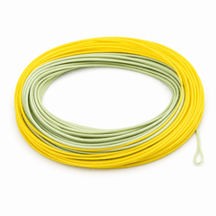 Ussuris Salmon/Steelhead Fly Line